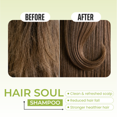 Hair Soul Shampoo