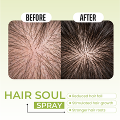 Hair Soul Hair Spray