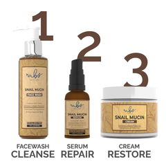 SNAIL MUCIN BUNDLE